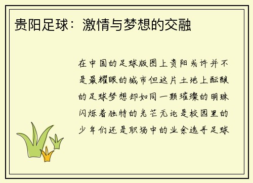 贵阳足球：激情与梦想的交融