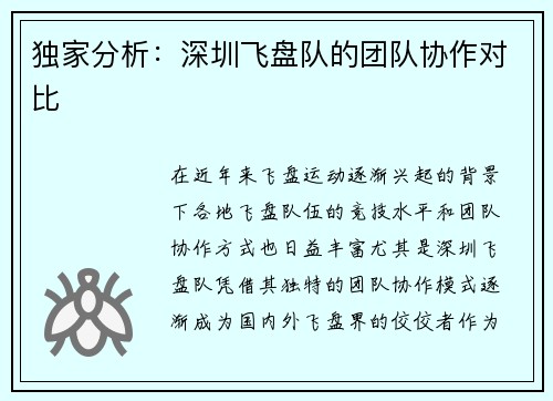 独家分析：深圳飞盘队的团队协作对比