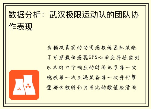 数据分析：武汉极限运动队的团队协作表现