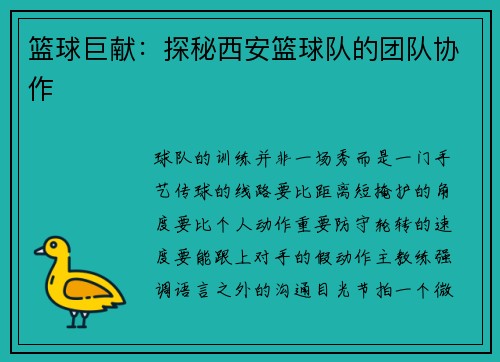 篮球巨献：探秘西安篮球队的团队协作